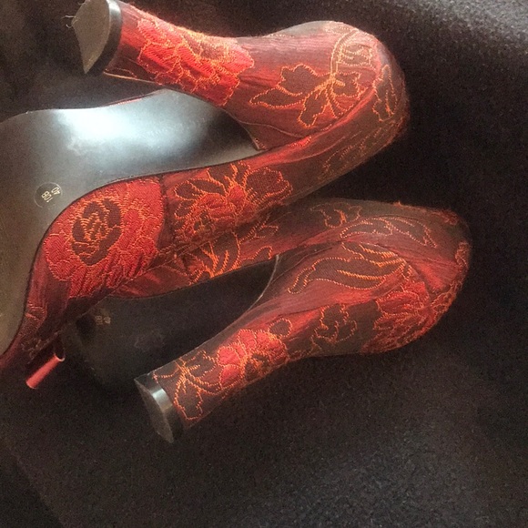 Sponky and Classy - Picture 6 of 6